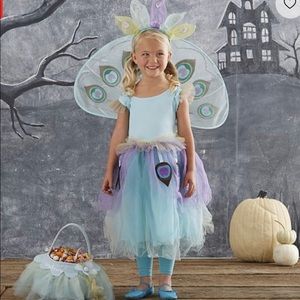 Pottery Barn Peacock costume